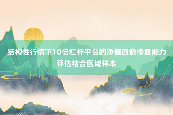 结构性行情下10倍杠杆平台的净值回撤修复能力评估结合区域样本